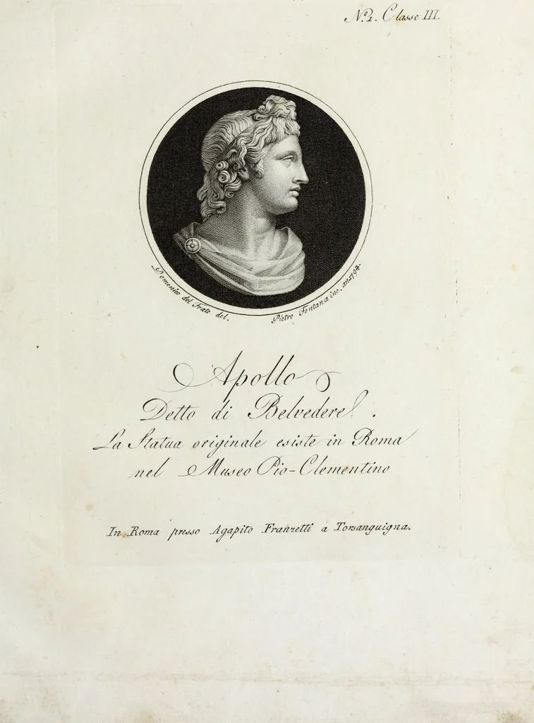 An illustration from Raccolta di dodici busti cavati dalle antiche statue originali : e sono l'Apollo citaredo colle muse, e l'Apollo detto di Belvedere, queste si ammirano nel Museo Pio-Clementino, la Venere de Medici, nel Museo ducale in Firenze, 1794, leaf 6