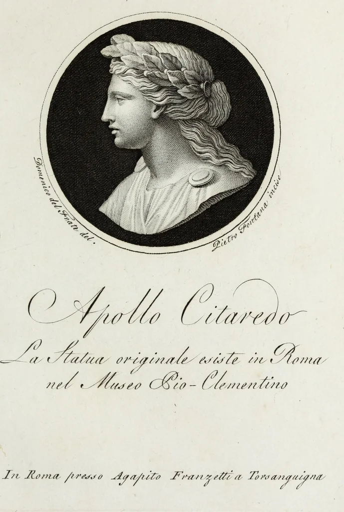 An illustration from Raccolta di dodici busti cavati dalle antiche statue originali : e sono l'Apollo citaredo colle muse, e l'Apollo detto di Belvedere, queste si ammirano nel Museo Pio-Clementino, la Venere de Medici, nel Museo ducale in Firenze, 1794, leaf 8
