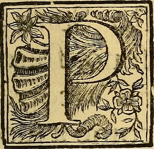 An illustration from Raccolta di lettere sulla pittura, scultura ed architettura scritte da'più celebri personaggi che in dette arti fiorirono dal secolo XV. al XVII .., 1757, leaf 8