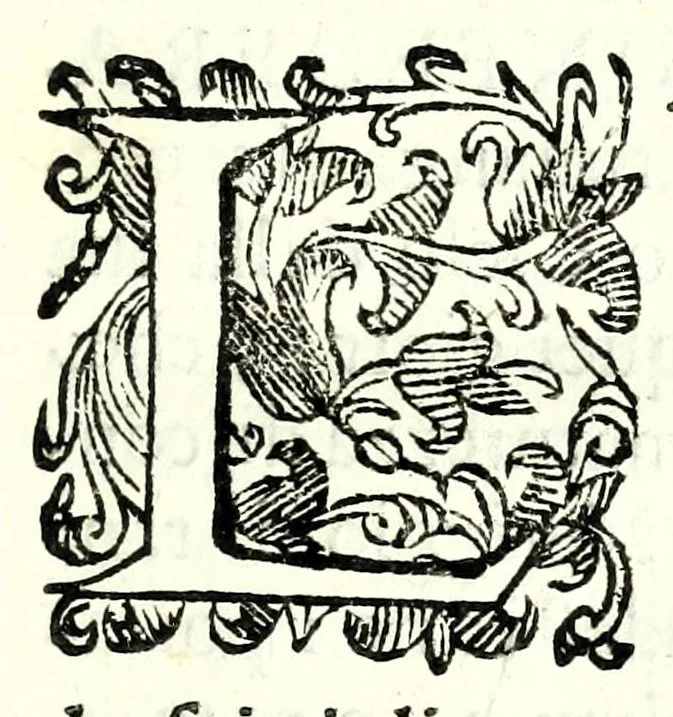 An illustration from Raccolta di poesie volgari, e latine in vita, e morte della signora Evlaria de' Bianchi comica confederata : dedicata ... da Iacop'Antonio Fidenzi trà comici detto Cinthio, 1628, leaf 19
