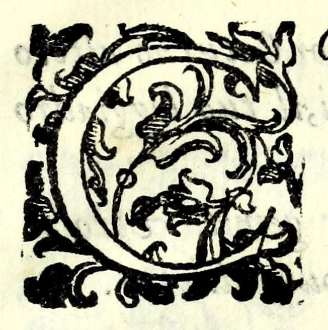 An illustration from Raccolta di poesie volgari, e latine in vita, e morte della signora Evlaria de' Bianchi comica confederata : dedicata ... da Iacop'Antonio Fidenzi trà comici detto Cinthio, 1628, leaf 23
