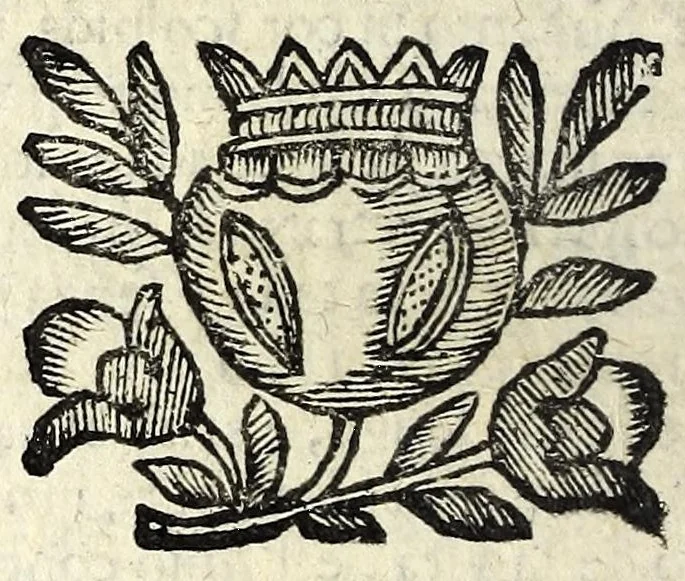 An illustration from Raccolta di tvtte l'opere di Bartolomeo Bocchini, detto Zan Mvzzina, 1665, leaf 330
