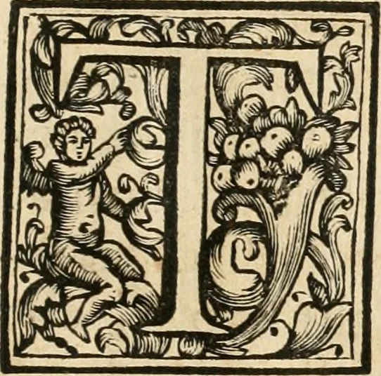 An illustration from Raccolta di varie targhe di Roma fatte da professori primarj, disegnate, ed intagliate da Filippo Juvarra, architetto, 1711, leaf 4