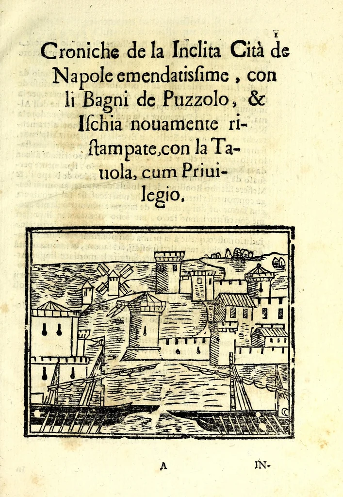 An illustration from Raccolta di varii libri, ouero, Opuscoli d'historie del regno di Napoli di varii et approbati autori : che con difficoltà si trouauano : di nuouo sedelmente ristampati, e corretti nella quale si contengono l'infrascritti ... : opere curiosissme, vtili, e necessarie à studiosi dell' antichità, e di varii eruditioni, 1680, leaf 13