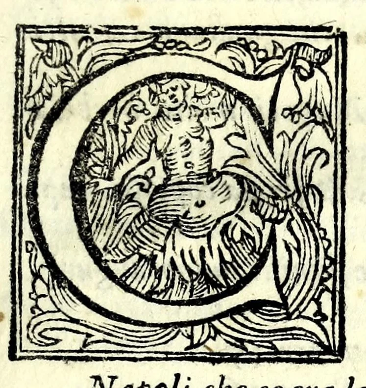An illustration from Raccolta di varii libri, ouero, Opuscoli d'historie del regno di Napoli di varii et approbati autori : che con difficoltà si trouauano : di nuouo sedelmente ristampati, e corretti nella quale si contengono l'infrascritti ... : opere curiosissme, vtili, e necessarie à studiosi dell' antichità, e di varii eruditioni, 1680, leaf 133