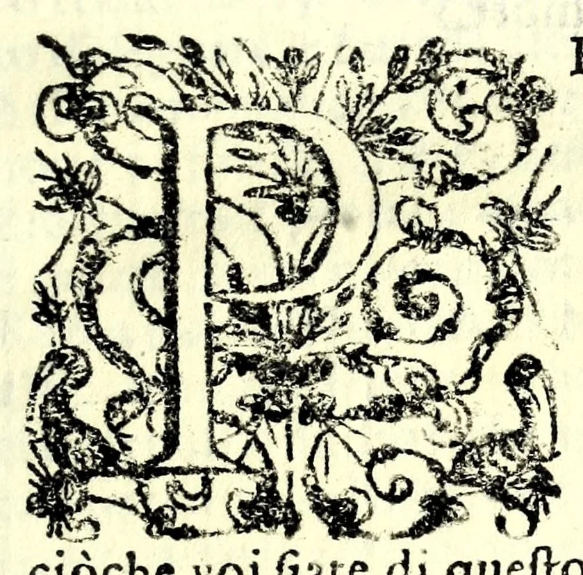 An illustration from Raccolta di varii libri, ouero, Opuscoli d'historie del regno di Napoli di varii et approbati autori : che con difficoltà si trouauano : di nuouo sedelmente ristampati, e corretti nella quale si contengono l'infrascritti ... : opere curiosissme, vtili, e necessarie à studiosi dell' antichità, e di varii eruditioni, 1680, leaf 143
