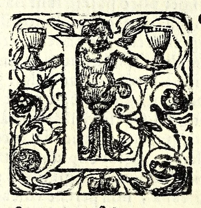 An illustration from Raccolta di varii libri, ouero, Opuscoli d'historie del regno di Napoli di varii et approbati autori : che con difficoltà si trouauano : di nuouo sedelmente ristampati, e corretti nella quale si contengono l'infrascritti ... : opere curiosissme, vtili, e necessarie à studiosi dell' antichità, e di varii eruditioni, 1680, leaf 146