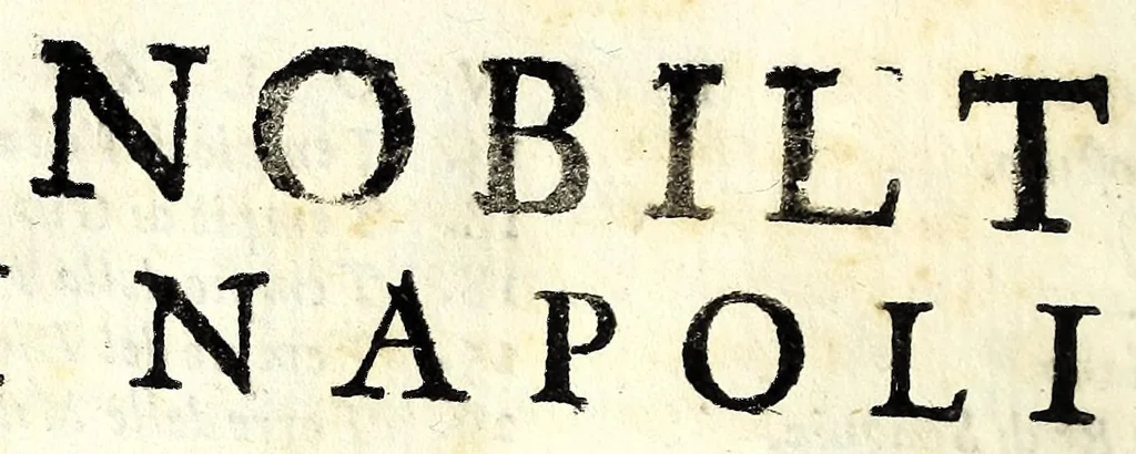 An illustration from Raccolta di varii libri, ouero, Opuscoli d'historie del regno di Napoli di varii et approbati autori : che con difficoltà si trouauano : di nuouo sedelmente ristampati, e corretti nella quale si contengono l'infrascritti ... : opere curiosissme, vtili, e necessarie à studiosi dell' antichità, e di varii eruditioni, 1680, leaf 238