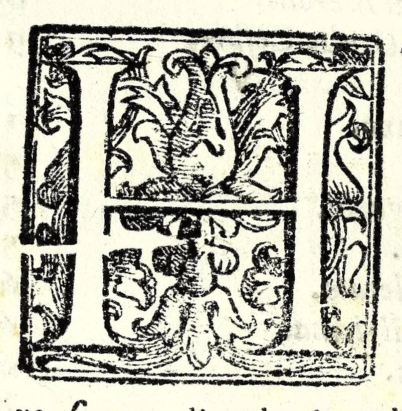 An illustration from Raccolta di varii libri, ouero, Opuscoli d'historie del regno di Napoli di varii et approbati autori : che con difficoltà si trouauano : di nuouo sedelmente ristampati, e corretti nella quale si contengono l'infrascritti ... : opere curiosissme, vtili, e necessarie à studiosi dell' antichità, e di varii eruditioni, 1680, leaf 238