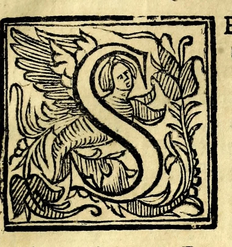 An illustration from Raccolta di varii libri, ouero, Opuscoli d'historie del regno di Napoli di varii et approbati autori : che con difficoltà si trouauano : di nuouo sedelmente ristampati, e corretti nella quale si contengono l'infrascritti ... : opere curiosissme, vtili, e necessarie à studiosi dell' antichità, e di varii eruditioni, 1680, leaf 411