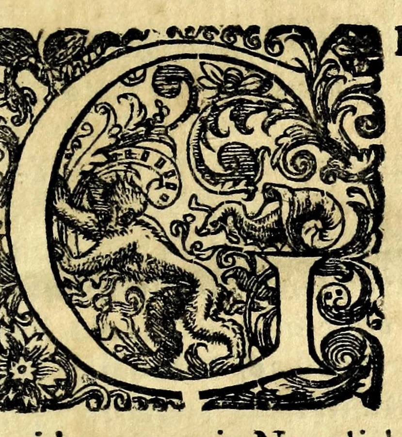 An illustration from Raccolta di varii libri, ouero, Opuscoli d'historie del regno di Napoli di varii et approbati autori : che con difficoltà si trouauano : di nuouo sedelmente ristampati, e corretti nella quale si contengono l'infrascritti ... : opere curiosissme, vtili, e necessarie à studiosi dell' antichità, e di varii eruditioni, 1680, leaf 413