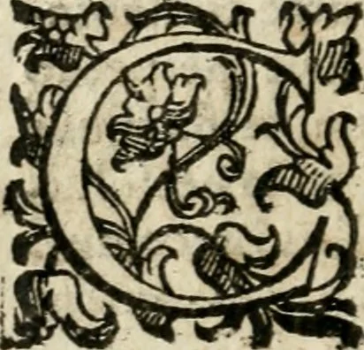 An illustration from Raccolta d'orationi et rime di diversi : co'l discorso, descrittione dell'essequie, e disegno del catafalco nella morte dell'illustriss. & reuerendiss. cardinal Farnese, 1589, leaf 17