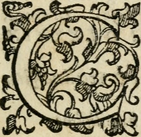 An illustration from Raccolta d'orationi et rime di diversi : co'l discorso, descrittione dell'essequie, e disegno del catafalco nella morte dell'illustriss. & reuerendiss. cardinal Farnese, 1589, leaf 6