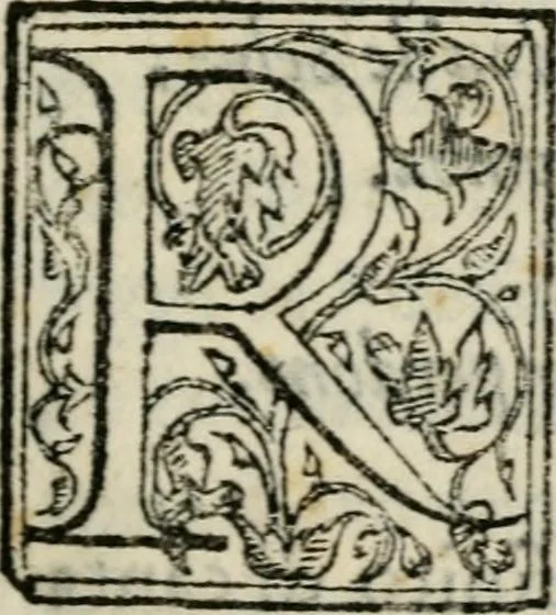 An illustration from Raccolto delle feste fatte in Fiorenza dalli ill.mi & ecc.mi nostri signori e padroni il sig. duca, & il sig. principe di Fiorenza, & di Siena : nella venuta del serenissimo arciduca Carlo d'Austria per honorarne la presenza di Sua Altezza, 1569, leaf 20