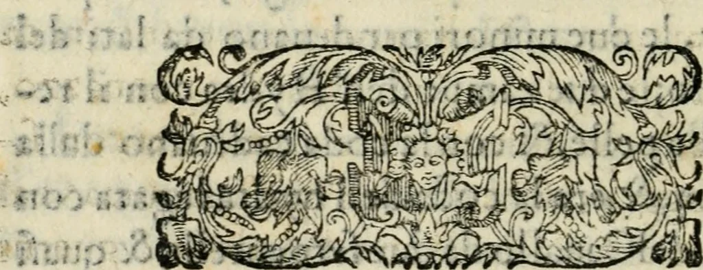An illustration from Raccolto delle feste fatte in Fiorenza dalli ill.mi & ecc.mi nostri signori e padroni il sig. duca, & il sig. principe di Fiorenza, & di Siena : nella venuta del serenissimo arciduca Carlo d'Austria per honorarne la presenza di Sua Altezza, 1569, leaf 27