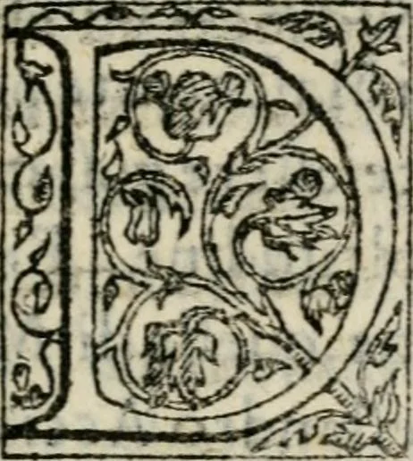 An illustration from Raccolto delle feste fatte in Fiorenza dalli ill.mi & ecc.mi nostri signori e padroni il sig. duca, & il sig. principe di Fiorenza, & di Siena : nella venuta del serenissimo arciduca Carlo d'Austria per honorarne la presenza di Sua Altezza, 1569, leaf 28