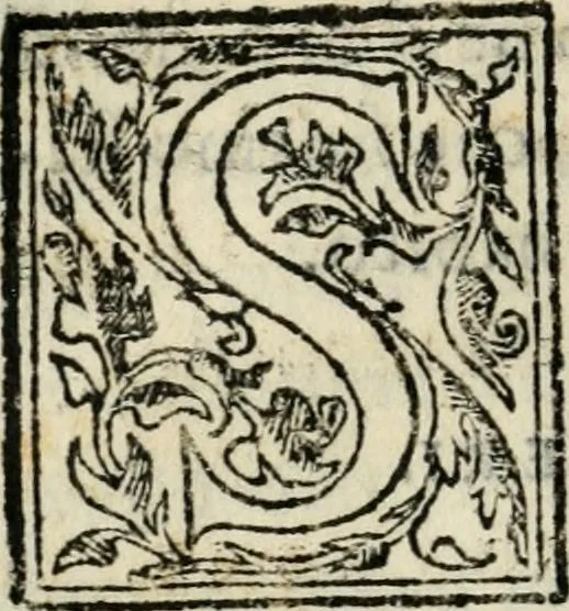 An illustration from Raccolto delle feste fatte in Fiorenza dalli ill.mi & ecc.mi nostri signori e padroni il sig. duca, & il sig. principe di Fiorenza, & di Siena : nella venuta del serenissimo arciduca Carlo d'Austria per honorarne la presenza di Sua Altezza, 1569, leaf 33