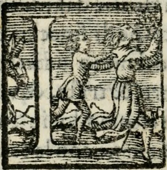 An illustration from Raccolto delle feste fatte in Fiorenza dalli ill.mi & ecc.mi nostri signori e padroni il sig. duca, & il sig. principe di Fiorenza, & di Siena : nella venuta del serenissimo arciduca Carlo d'Austria per honorarne la presenza di Sua Altezza, 1569, leaf 37