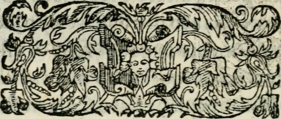 An illustration from Raccolto delle feste fatte in Fiorenza dalli ill.mi & ecc.mi nostri signori e padroni il sig. duca, & il sig. principe di Fiorenza, & di Siena : nella venuta del serenissimo arciduca Carlo d'Austria per honorarne la presenza di Sua Altezza, 1569, leaf 43
