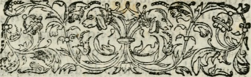An illustration from Raccolto delle feste fatte in Fiorenza dalli ill.mi & ecc.mi nostri signori e padroni il sig. duca, & il sig. principe di Fiorenza, & di Siena : nella venuta del serenissimo arciduca Carlo d'Austria per honorarne la presenza di Sua Altezza, 1569, leaf 46