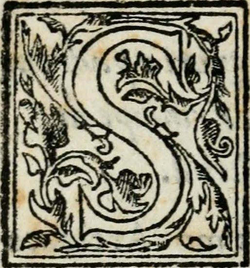 An illustration from Raccolto delle feste fatte in Fiorenza dalli ill.mi & ecc.mi nostri signori e padroni il sig. duca, & il sig. principe di Fiorenza, & di Siena : nella venuta del serenissimo arciduca Carlo d'Austria per honorarne la presenza di Sua Altezza, 1569, leaf 5