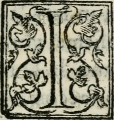 An illustration from Raccolto delle feste fatte in Fiorenza dalli ill.mi & ecc.mi nostri signori e padroni il sig. duca, & il sig. principe di Fiorenza, & di Siena : nella venuta del serenissimo arciduca Carlo d'Austria per honorarne la presenza di Sua Altezza, 1569, leaf 50