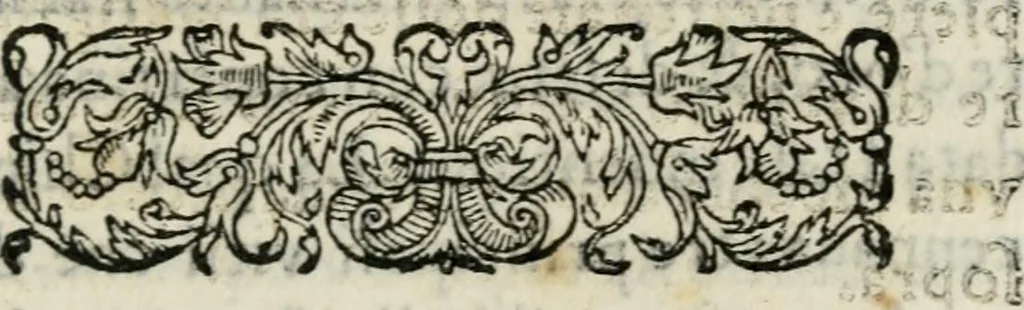 An illustration from Raccolto delle feste fatte in Fiorenza dalli ill.mi & ecc.mi nostri signori e padroni il sig. duca, & il sig. principe di Fiorenza, & di Siena : nella venuta del serenissimo arciduca Carlo d'Austria per honorarne la presenza di Sua Altezza, 1569, leaf 64