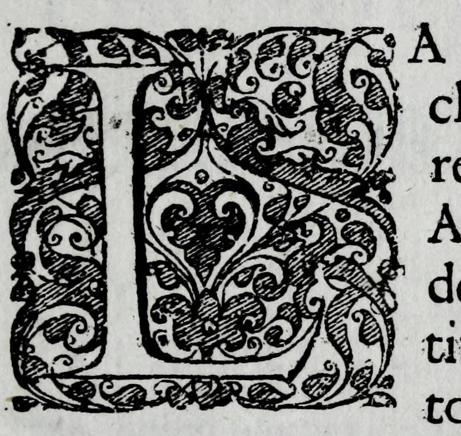 An illustration from Racconto historico del felicissimo maritaggio delle Sacre Cesaree Reali Maesta di Leopoldo et Eleonora Maddalena Teresa principessa nata di Neoburg sempre augusti, 1677, leaf 7