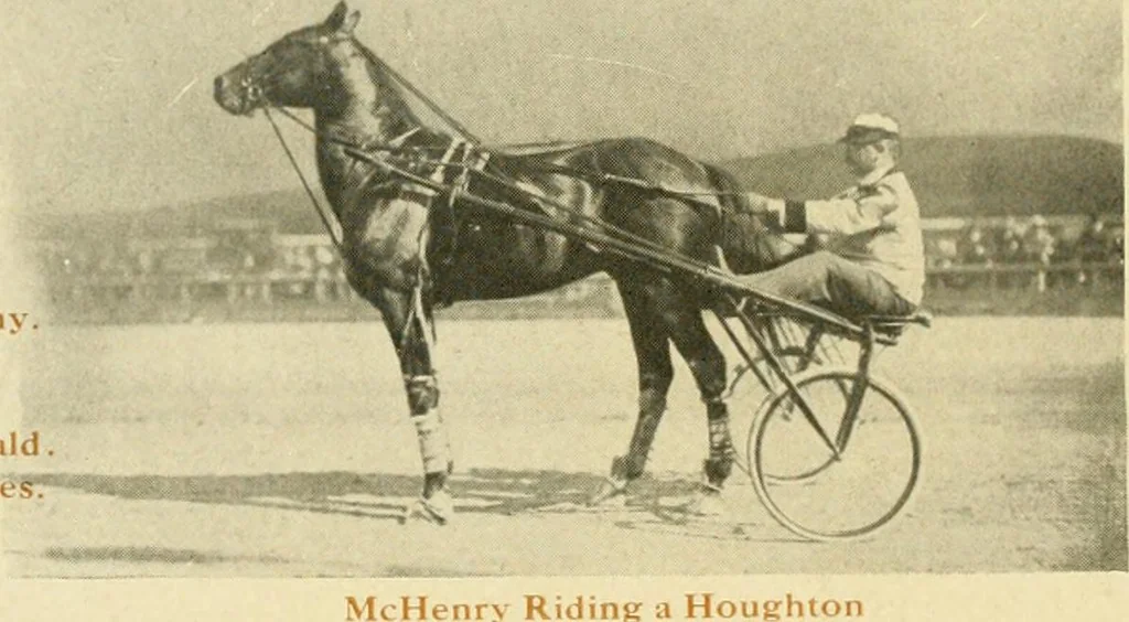 An illustration from Racing and pleasure vehicles : catalog no. 6, showing a complete line of vehicles suitable for all speeding and driving purposes, 1910, leaf 24