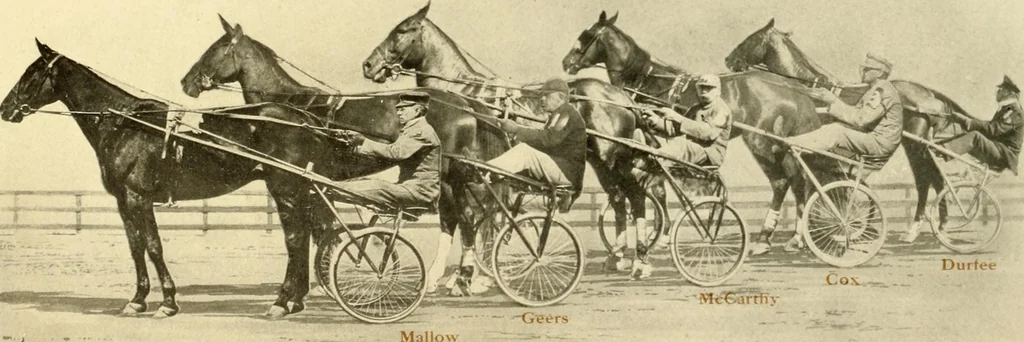 An illustration from Racing and pleasure vehicles : catalog no. 6, showing a complete line of vehicles suitable for all speeding and driving purposes, 1910, leaf 25