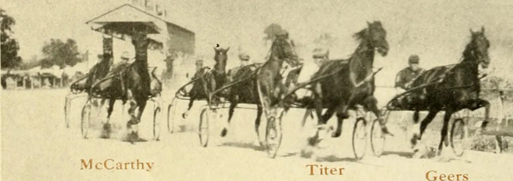 An illustration from Racing and pleasure vehicles : catalog no. 6, showing a complete line of vehicles suitable for all speeding and driving purposes, 1910, leaf 27