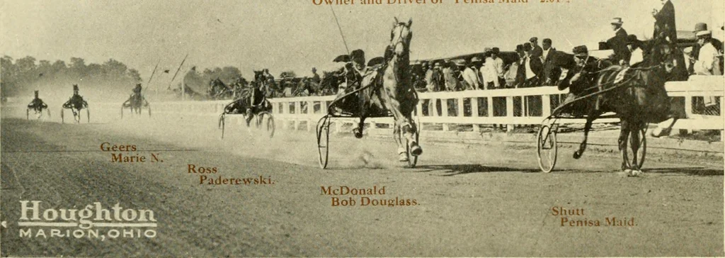 An illustration from Racing and pleasure vehicles : catalog no. 6, showing a complete line of vehicles suitable for all speeding and driving purposes, 1910, leaf 28