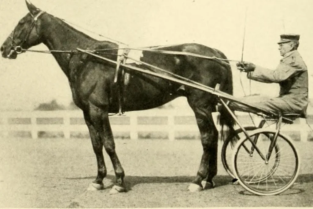 An illustration from Racing and pleasure vehicles : catalog no. 6, showing a complete line of vehicles suitable for all speeding and driving purposes, 1910, leaf 29