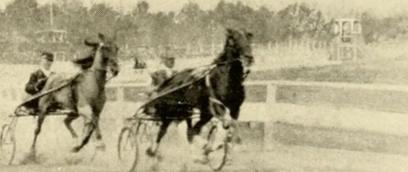 An illustration from Racing and pleasure vehicles : catalog no. 6, showing a complete line of vehicles suitable for all speeding and driving purposes, 1910, leaf 31