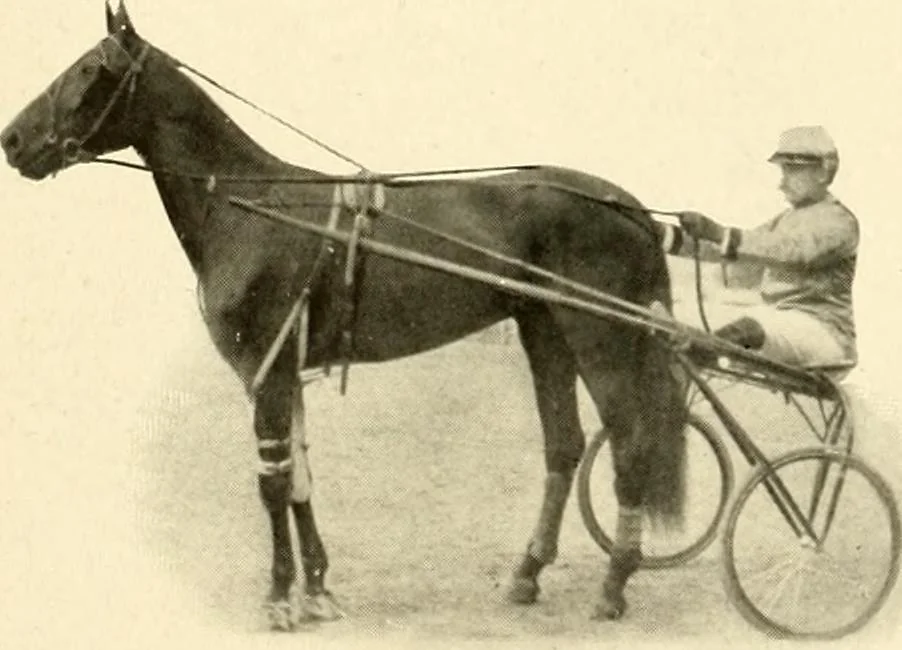 An illustration from Racing and pleasure vehicles : catalog no. 6, showing a complete line of vehicles suitable for all speeding and driving purposes, 1910, leaf 33