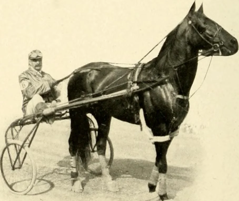 An illustration from Racing and pleasure vehicles : catalog no. 6, showing a complete line of vehicles suitable for all speeding and driving purposes, 1910, leaf 33