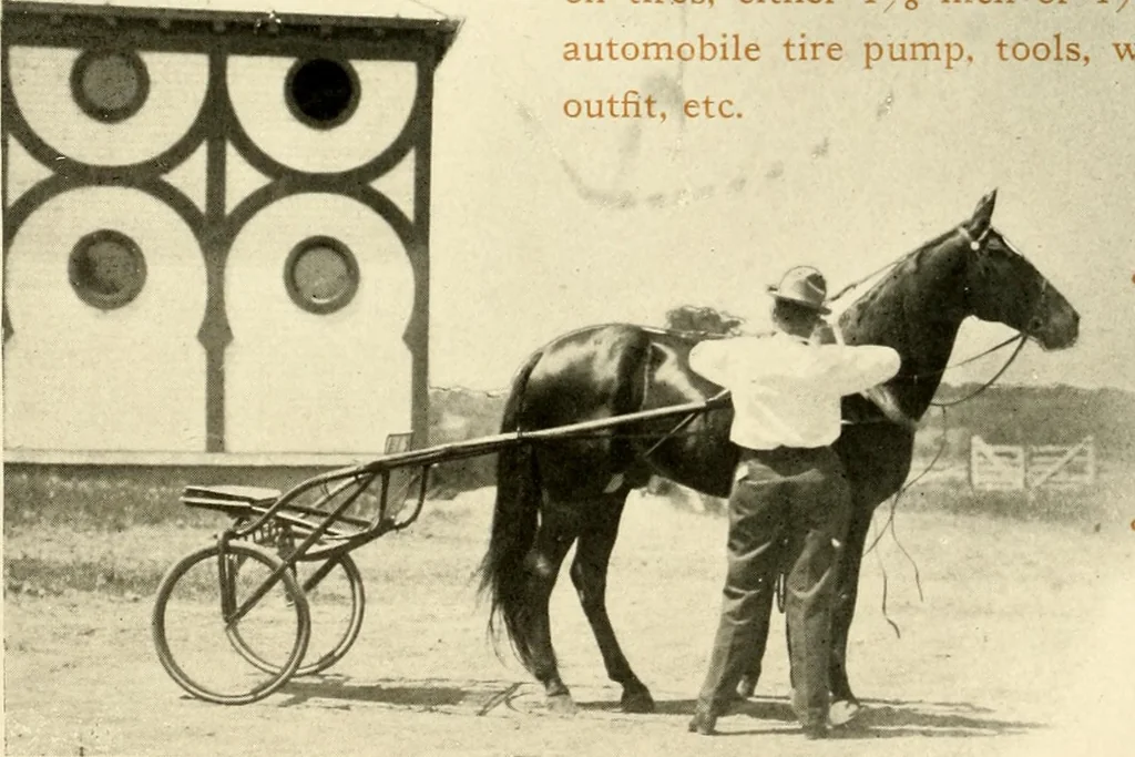 An illustration from Racing and pleasure vehicles : catalog no. 6, showing a complete line of vehicles suitable for all speeding and driving purposes, 1910, leaf 35