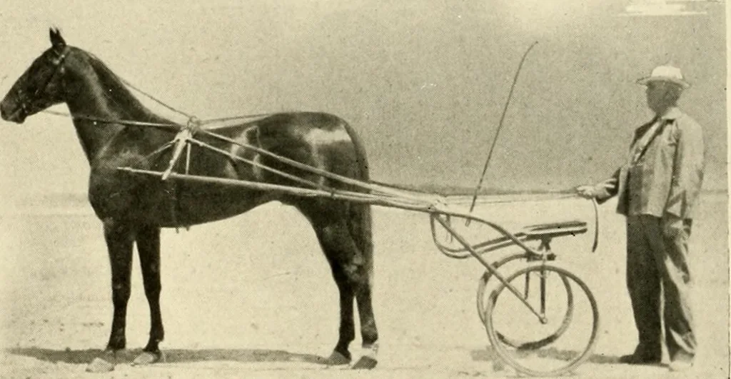 An illustration from Racing and pleasure vehicles : catalog no. 6, showing a complete line of vehicles suitable for all speeding and driving purposes, 1910, leaf 37