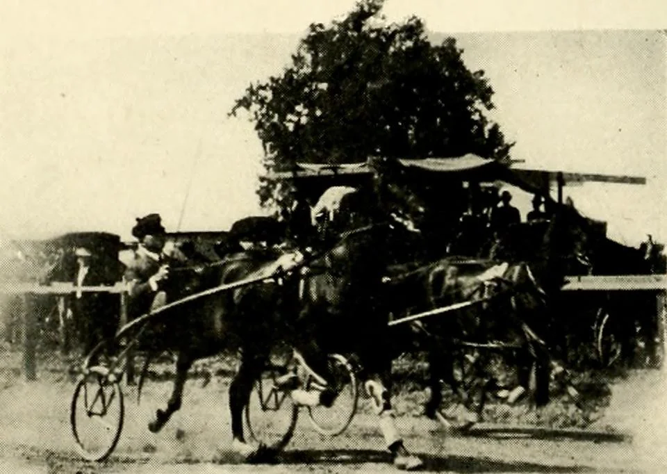 An illustration from Racing and pleasure vehicles : catalog no. 6, showing a complete line of vehicles suitable for all speeding and driving purposes, 1910, leaf 39