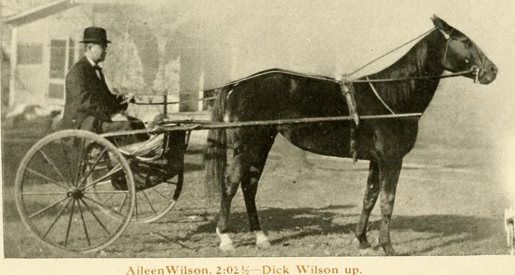 An illustration from Racing and pleasure vehicles : catalog no. 6, showing a complete line of vehicles suitable for all speeding and driving purposes, 1910, leaf 45