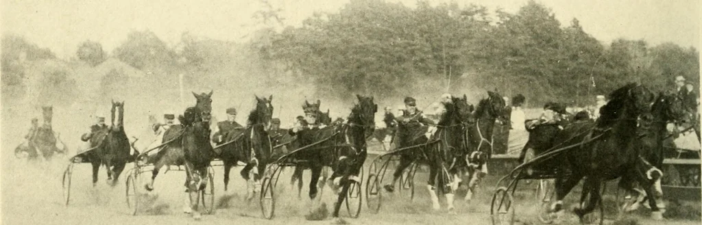 An illustration from Racing and pleasure vehicles : catalog no. 6, showing a complete line of vehicles suitable for all speeding and driving purposes, 1910, leaf 67