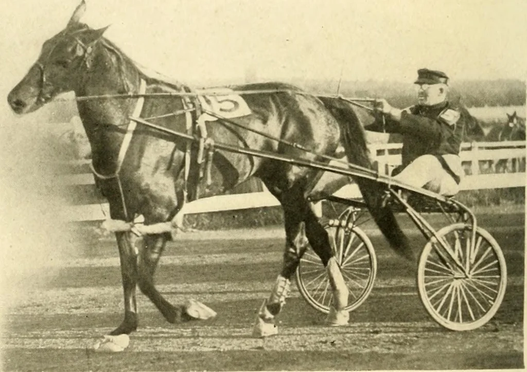 An illustration from Racing and pleasure vehicles : catalog no. 6, showing a complete line of vehicles suitable for all speeding and driving purposes, 1910, leaf 67