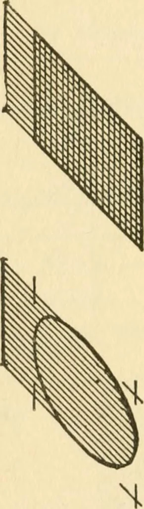 An illustration from Radford's architectural drawing : complete guide to work of architect's office, drawing to scale--tracing--detailing--designing --classic order of architecture. A complete and thorough course, clearly written and beautifully illustrated; suited alike to individual study and class instruction, 1912, leaf 101