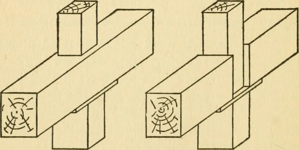 An illustration from Radford's architectural drawing : complete guide to work of architect's office, drawing to scale--tracing--detailing--designing --classic order of architecture. A complete and thorough course, clearly written and beautifully illustrated; suited alike to individual study and class instruction, 1912, leaf 113