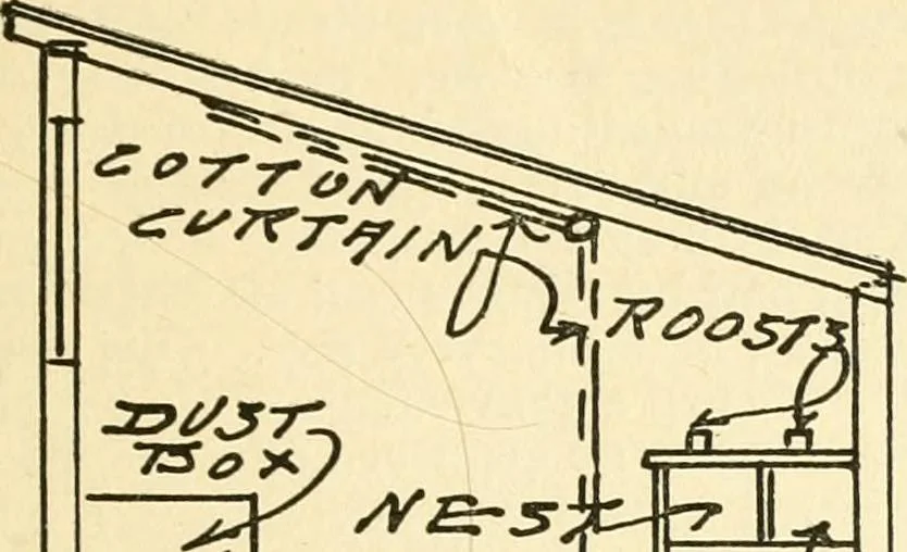 An illustration from Radford's combined house and barn plan book, 1908, leaf 250