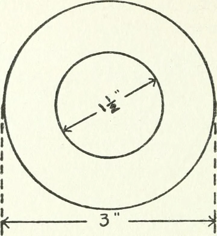 An illustration from Radford's cyclopedia of construction; carpentry, building and architecture. Based on the practical experience of a large staff of experts in actual constrcution work, 1909, leaf 171