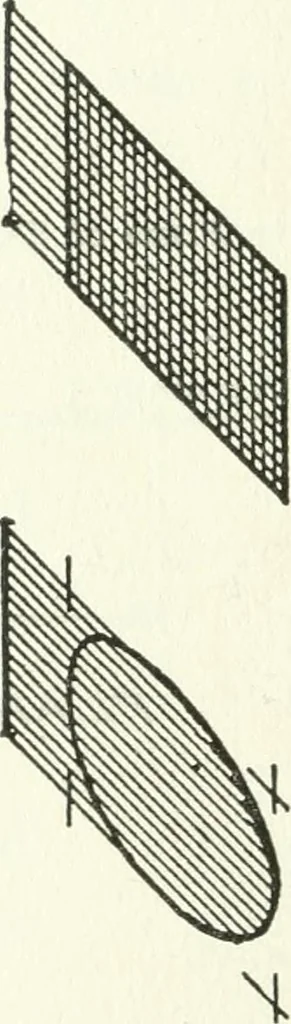 An illustration from Radford's cyclopedia of construction; carpentry, building and architecture. Based on the practical experience of a large staff of experts in actual constrcution work, 1909, leaf 311
