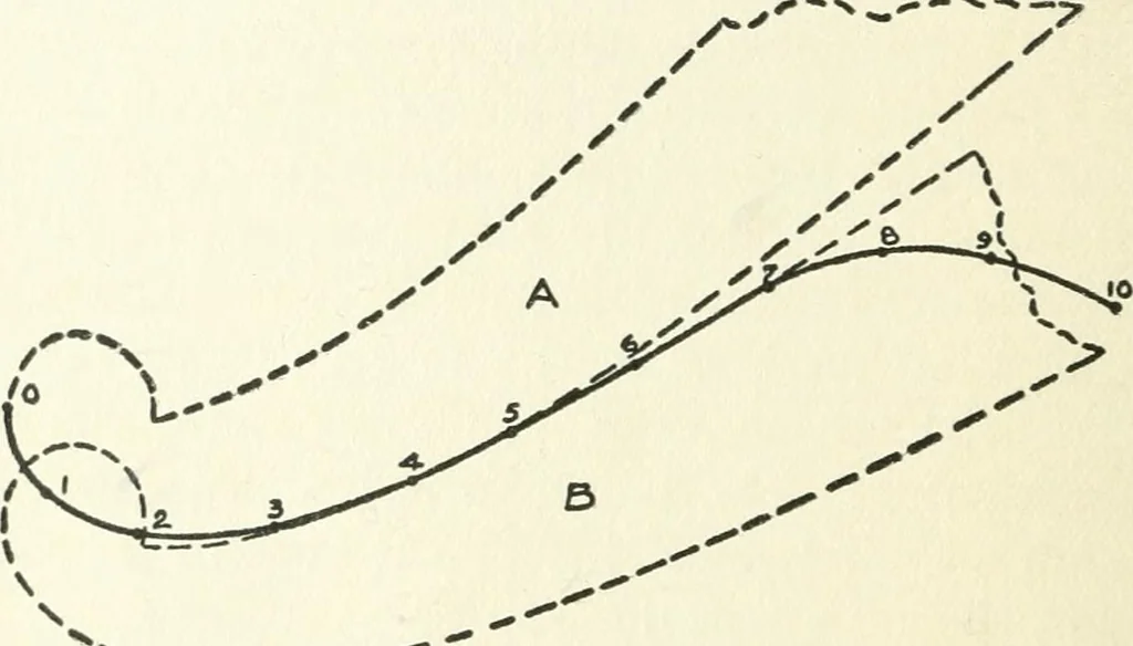 An illustration from Radford's cyclopedia of construction; carpentry, building and architecture. Based on the practical experience of a large staff of experts in actual constrcution work, 1909, leaf 41