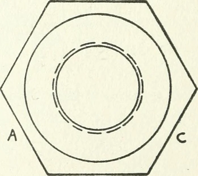 An illustration from Radford's cyclopedia of construction; carpentry, building and architecture. Based on the practical experience of a large staff of experts in actual constrcution work, 1909, leaf 77