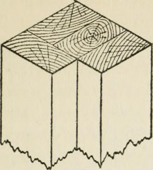 An illustration from Radford's cyclopedia of construction; carpentry, building and architecture. Based on the practical experience of a large staff of experts in actual constrcution work, 1909, leaf 102